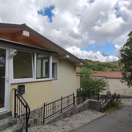 Apartma Apollonio Črni Kal Eksteriør bilde